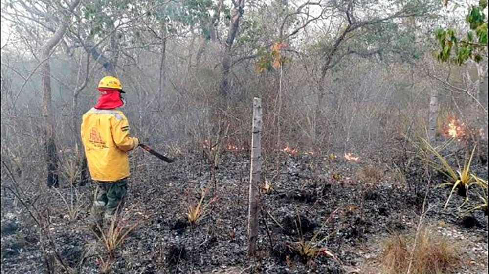 90 personas combaten el incendio forestal en San José