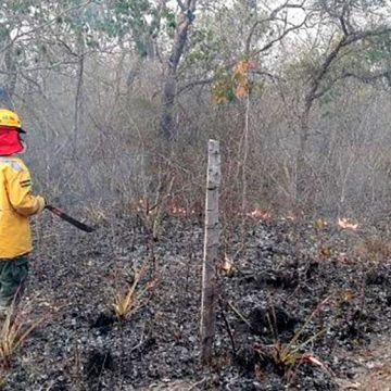 90 personas combaten el incendio forestal en San José