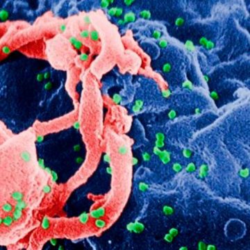 El lugar donde comenzó la pesadilla del VIH y cómo terminó propagándose en todo el mundo