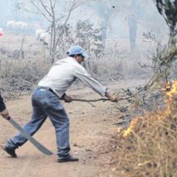 Los Incendios de la Chiquitania desatan tensión y reacciones de políticos y empresarios.