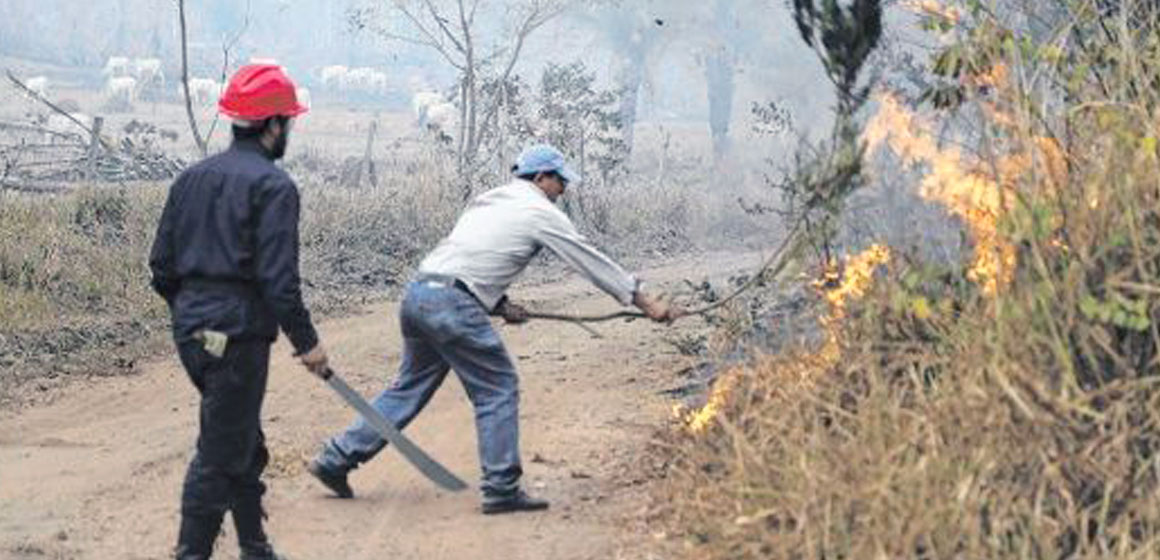 Los Incendios de la Chiquitania desatan tensión y reacciones de políticos y empresarios.