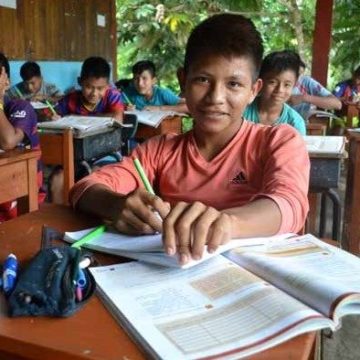 El sínodo panamazónico y el desafío de la educación en la Amazonía