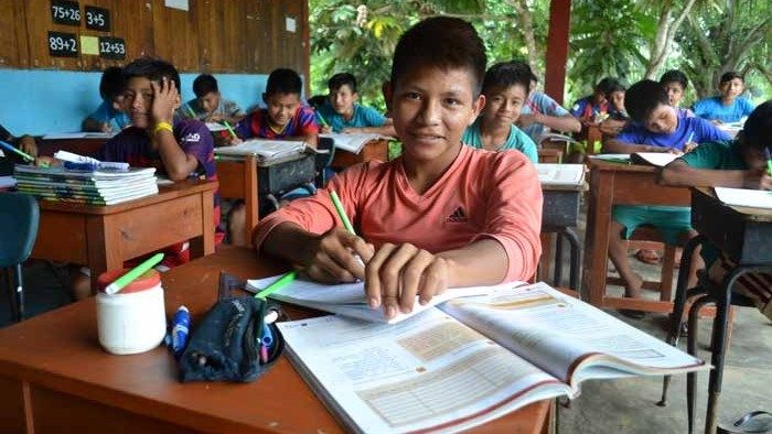 El sínodo panamazónico y el desafío de la educación en la Amazonía