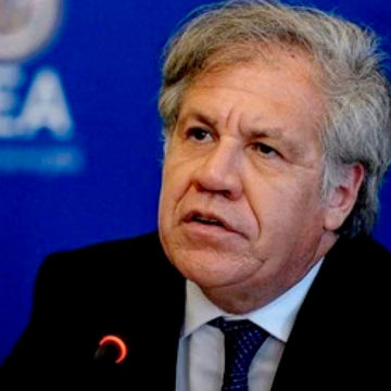 Auditoría de la OEA detecta manipulación informática y recomienda nueva elección con nuevas autoridades