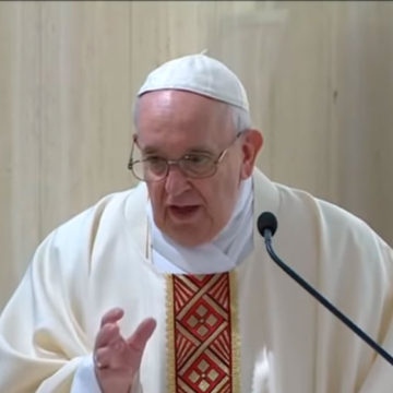 El Papa: no debemos temer, Dios salva lo que está perdido