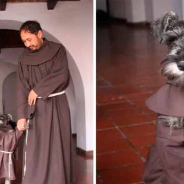 “Fray Bigotón”, el perro que se robó el corazón de miles vuelve a ser viral