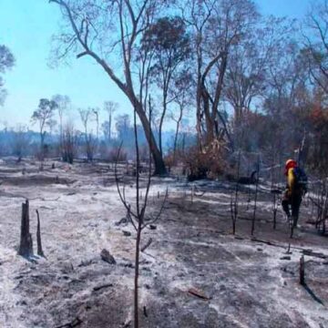 ¡Santa Cruz respira! No se reporta ningún incendio forestal en la región