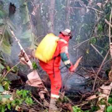 ¡Desesperación!, hace 10 días arde el parque Iténez en el Beni, piden ayuda al Gobierno