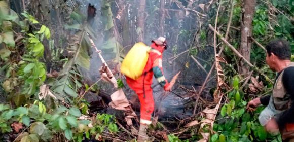 ¡Desesperación!, hace 10 días arde el parque Iténez en el Beni, piden ayuda al Gobierno